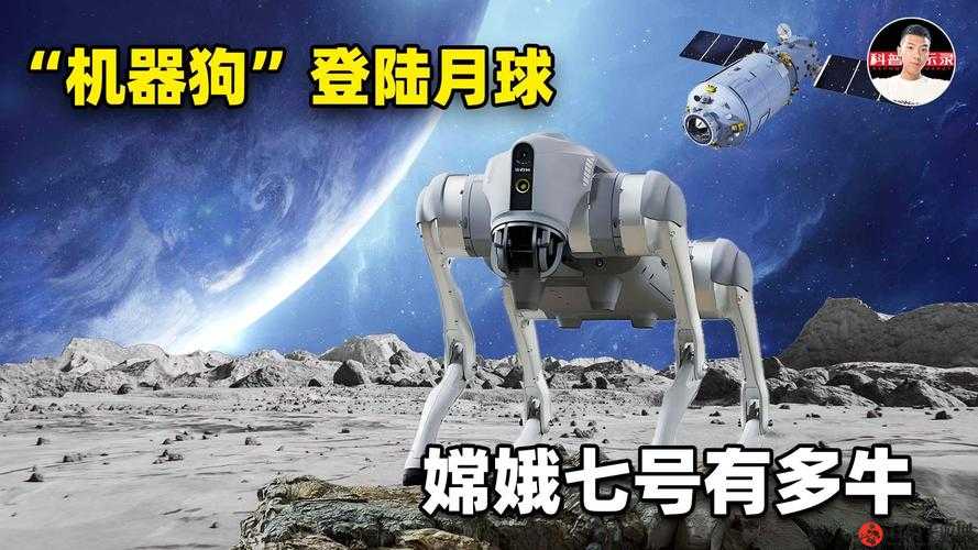 探秘 X7X7X7X7 任意燥：深度挖掘其背后的神秘面纱与未知世界